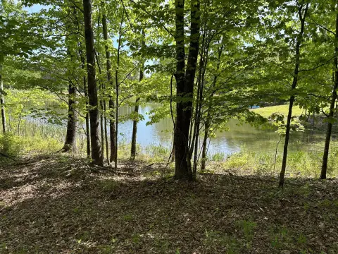 Private Wooded Lot in Jasper