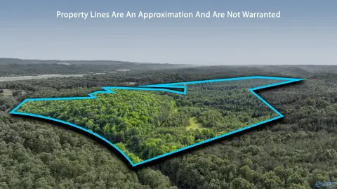 147.4 Acres Wooded Land Opportunity