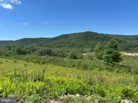 Hunting Land with Gravel Driveway