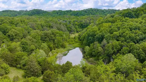 Fort Payne Land For Sale