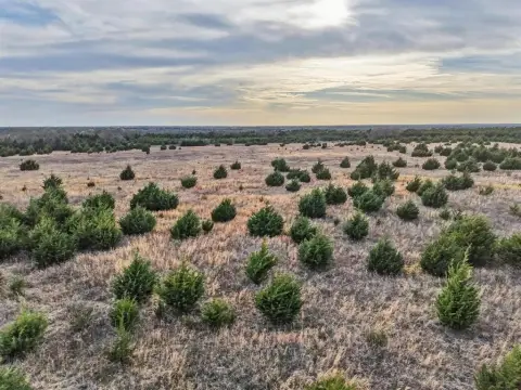 255 Acres of Serene Land