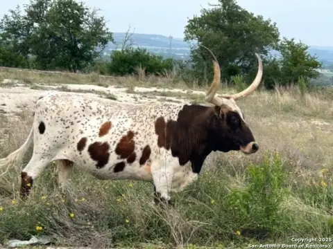 Kerrville Land with Hill Country Views