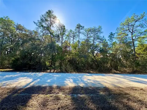 Wooded Homesite Near Amenities