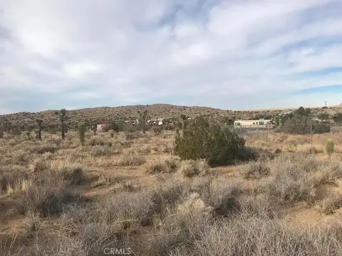 2.5 Acres in Pearblossom, CA