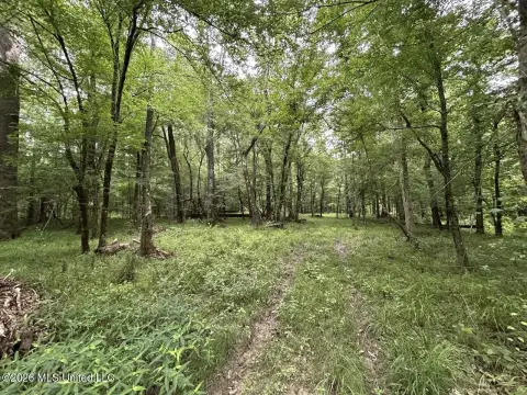 Tickfaw River Hunting Tract