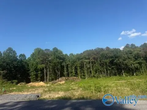Land in Geraldine, Alabama