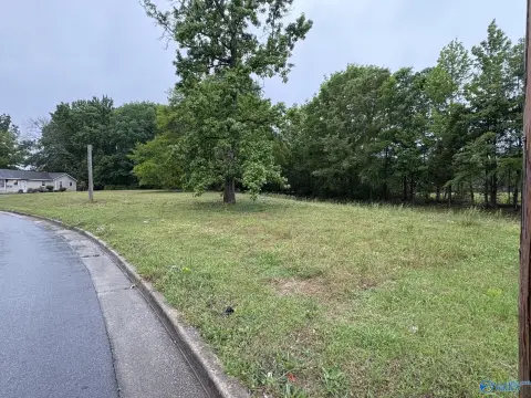 Residential Land in Decatur, AL