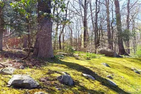 2.8-Acre Building Lot in Tuxedo