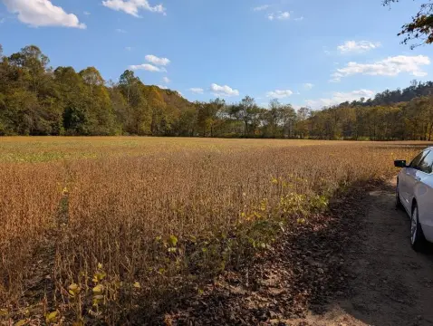 Lucasville Land with Wooded Acreage