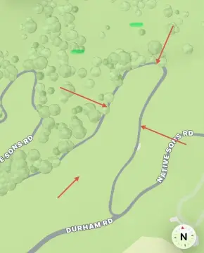 Land in Woodside Redwoods