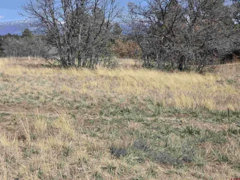 Land with Mountain Views