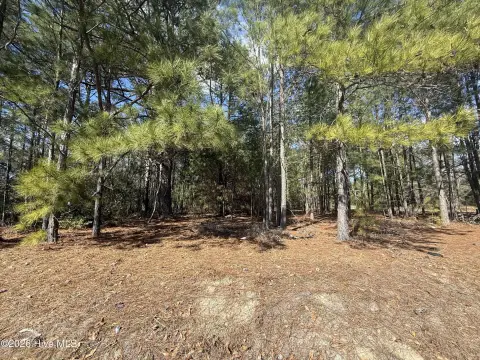 Land in Rockingham, NC
