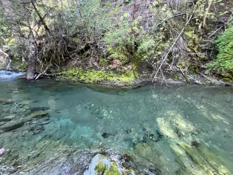 Land with Creek Frontage