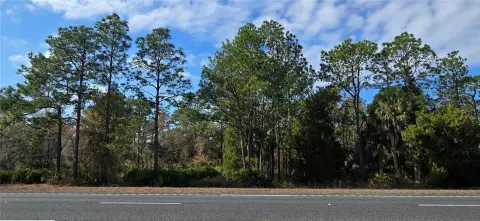 Land on US 19 Frontage