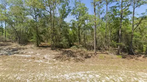 Rainbow Lakes Estates Land Parcel