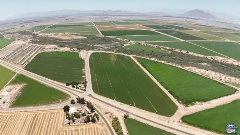 Alfalfa-Ready Farmland Tract