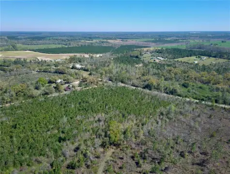 Agricultural Land Parcel