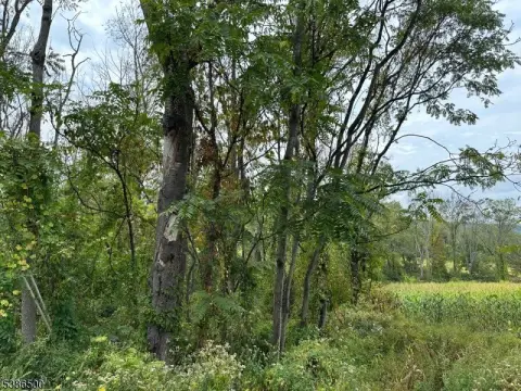 One-Acre Lot Near Mountain Lake