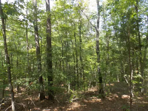 Lincolnton Land Near Lake Access