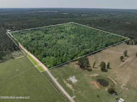 Acreage in Mount Olive, MS