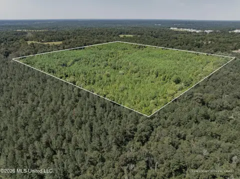 Undeveloped Land in Covington County