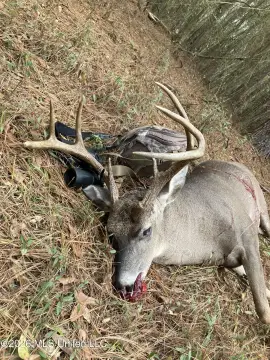 Prime Hunting & Timber Investment