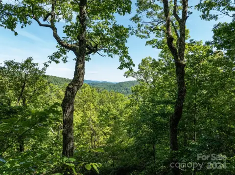 Mountain Homesite in Cliffs Valley