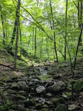 Kent CT Land Opportunity