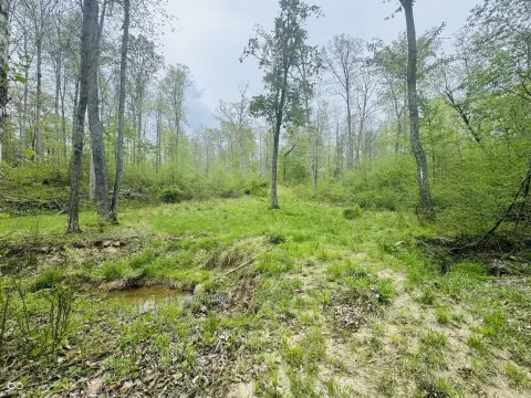 Spacious Residential Lots in Columbus, IN