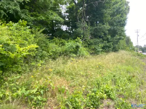 Land For Sale Guntersville, AL