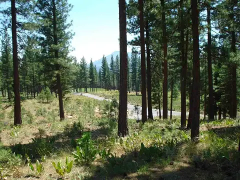 Grizzly Ranch Golf Course Lot