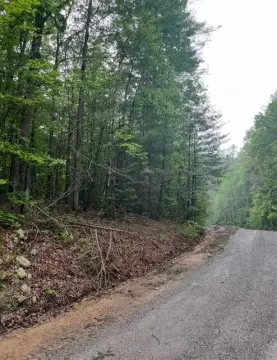 Grandview, TN Wooded Building Lot