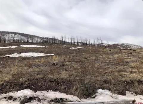 Forbes Park Mountain Properties