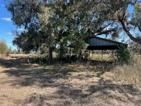 Prime Development Land in Williston