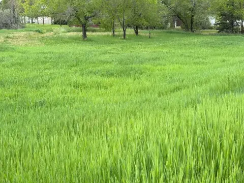 Vacant Land in North Meadows