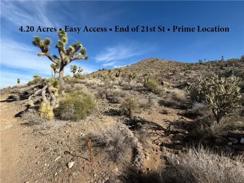 Dolan Springs Land with Views