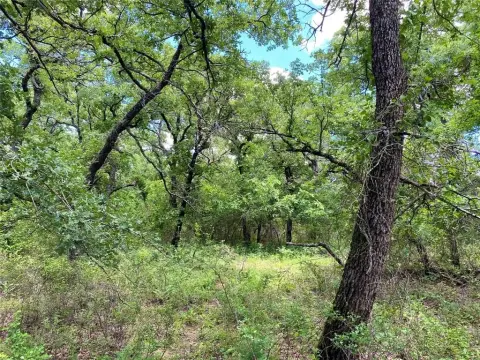 Nocona Hills Wooded Corner Lot