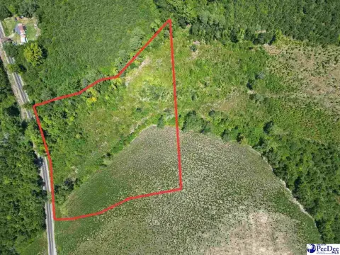 Agricultural Land Tract with Wooded Areas