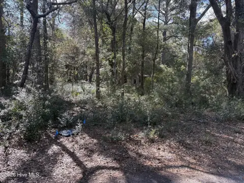 Residential Land in Southport, NC