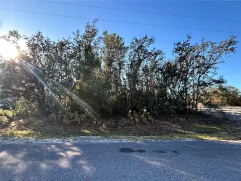 Residential Lot in Spring Hill
