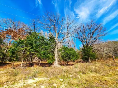5.6 Acre Wooded Lot