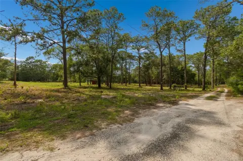 2.3 Acres in Brooksville