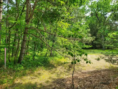 Buildable Parcel in National Forest