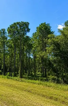 Dothan Residential Land Opportunity