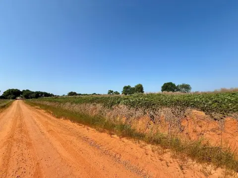 Residential Lot in Newton, Alabama