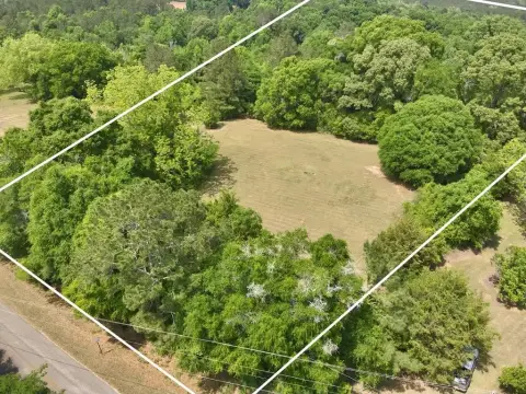 Chancellor, AL Residential Land