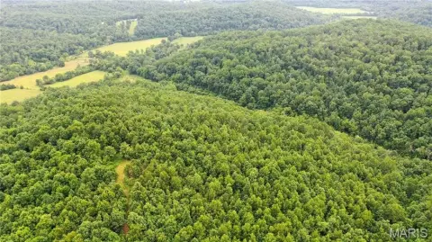 20-Acre Wooded Hunting Land