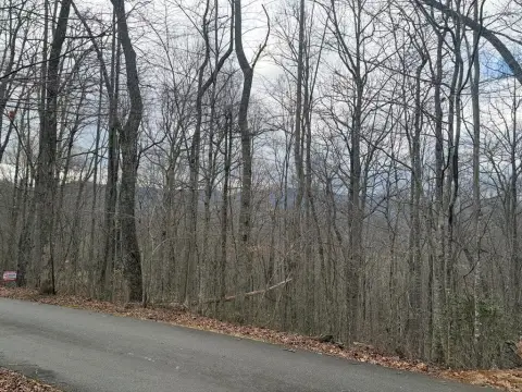 Franklin, NC Wooded View Lot