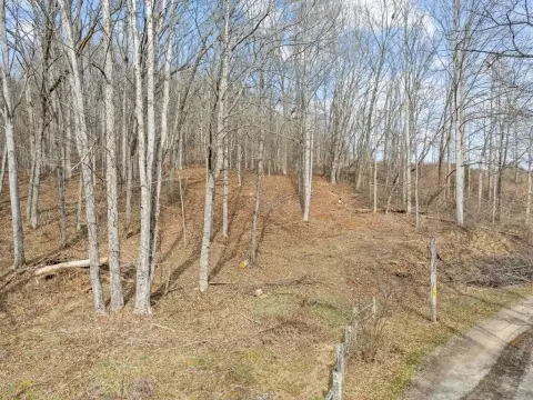 Wooded Lot in Waynesville, NC