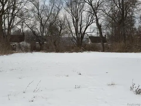 Detroit Vacant Residential Land